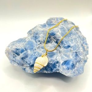 Seashell necklace